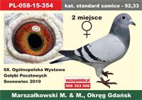 Pokaż zdjęcie w powiększeniu Gołębie zdjęcie